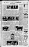 Bristol Times and Mirror Saturday 11 December 1920 Page 15