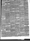 Ilkley Gazette and Wharfedale Advertiser Thursday 01 April 1869 Page 3