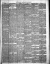 Oxford Chronicle and Reading Gazette Saturday 07 April 1877 Page 3