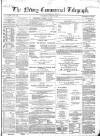 Newry Telegraph Saturday 05 May 1866 Page 1