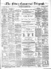 Newry Telegraph Saturday 28 December 1867 Page 1