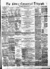 Newry Telegraph Saturday 25 January 1873 Page 1