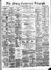 Newry Telegraph Saturday 08 November 1873 Page 1