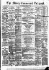 Newry Telegraph Saturday 20 December 1873 Page 1