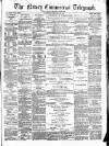Newry Telegraph Tuesday 20 January 1874 Page 1