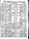 Newry Telegraph Saturday 24 January 1874 Page 1