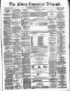 Newry Telegraph Saturday 31 July 1875 Page 1