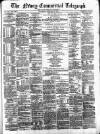 Newry Telegraph Thursday 13 January 1876 Page 1