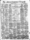 Newry Telegraph Saturday 13 May 1876 Page 1