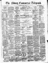 Newry Telegraph Saturday 27 May 1876 Page 1