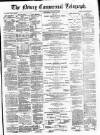 Newry Telegraph Saturday 02 June 1877 Page 1