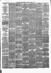 Newry Telegraph Saturday 20 April 1878 Page 3