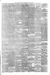 Newry Telegraph Saturday 25 January 1879 Page 3