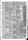 Newry Telegraph Thursday 17 March 1898 Page 3