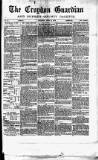 Croydon Guardian and Surrey County Gazette Saturday 15 June 1878 Page 1