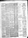 Croydon Guardian and Surrey County Gazette Saturday 25 December 1880 Page 3