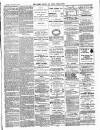 Croydon Guardian and Surrey County Gazette Saturday 29 January 1881 Page 7