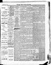 Croydon Guardian and Surrey County Gazette Saturday 25 May 1889 Page 5
