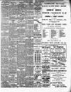Croydon Guardian and Surrey County Gazette Saturday 05 January 1901 Page 3