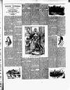 Croydon Guardian and Surrey County Gazette Saturday 26 January 1901 Page 9