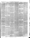 Dudley Herald Saturday 19 February 1876 Page 3