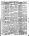 Dudley Herald Saturday 04 March 1876 Page 3