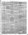 Dudley Herald Saturday 25 March 1876 Page 3
