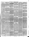 Dudley Herald Saturday 15 July 1876 Page 3