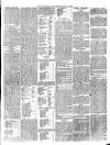Dudley Herald Saturday 29 July 1876 Page 3