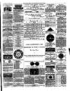 Dudley Herald Saturday 26 July 1879 Page 7