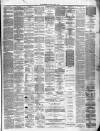 Lanarkshire Upper Ward Examiner Saturday 18 January 1879 Page 3