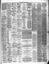 Lanarkshire Upper Ward Examiner Saturday 01 February 1879 Page 3