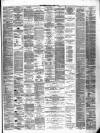Lanarkshire Upper Ward Examiner Saturday 08 March 1879 Page 3