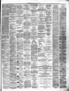 Lanarkshire Upper Ward Examiner Saturday 15 March 1879 Page 3