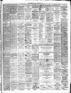 Lanarkshire Upper Ward Examiner Saturday 15 November 1879 Page 3
