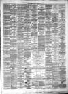 Lanarkshire Upper Ward Examiner Saturday 31 January 1880 Page 3