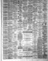 Lanarkshire Upper Ward Examiner Saturday 14 February 1880 Page 3