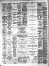 Lanarkshire Upper Ward Examiner Saturday 20 March 1880 Page 4
