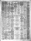 Lanarkshire Upper Ward Examiner Saturday 07 August 1880 Page 3