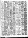 Lanarkshire Upper Ward Examiner Saturday 29 January 1881 Page 3
