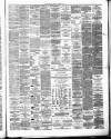Lanarkshire Upper Ward Examiner Saturday 19 February 1881 Page 3
