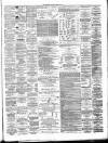Lanarkshire Upper Ward Examiner Saturday 26 March 1881 Page 3