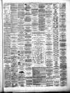 Lanarkshire Upper Ward Examiner Saturday 23 July 1881 Page 3