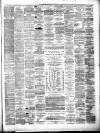 Lanarkshire Upper Ward Examiner Saturday 13 August 1881 Page 3
