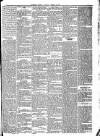 Woolwich Gazette Saturday 09 March 1872 Page 5