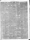 Woolwich Gazette Saturday 29 January 1876 Page 3