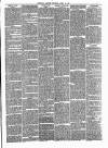 Woolwich Gazette Saturday 23 April 1881 Page 3