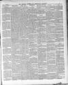 Shoreditch Observer Saturday 15 March 1890 Page 3