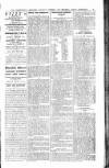 Shoreditch Observer Saturday 23 January 1904 Page 5