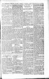 Shoreditch Observer Saturday 30 September 1905 Page 7